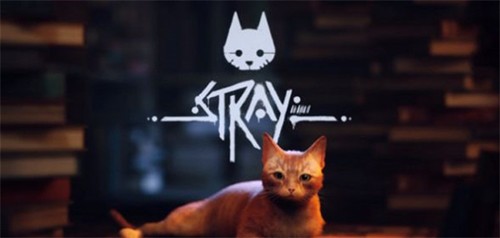 迷失stray最新版截图1