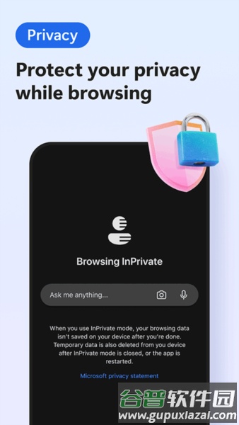 Edge Canary金丝雀版截图5