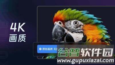 迅雷云盘电视版截图3