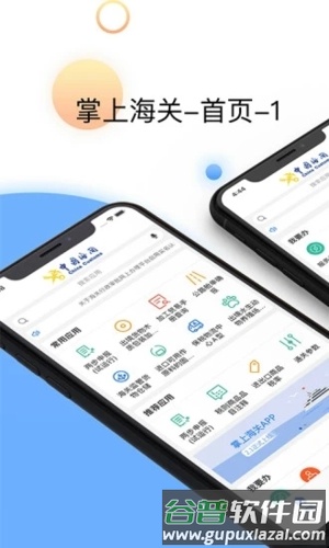 掌上海关最新版截图1