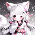 小狐狸星辰仓v5.0.47