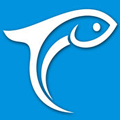 凤台小鱼网appv6.5