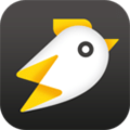 闪电鸡appv4.2.8