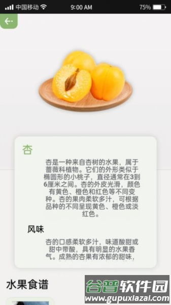指尖果园最新版截图2