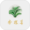 香根草官方版v1.0.10