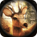 模拟猎人v1.0.0.0122