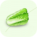 买菜来appv4.0.30