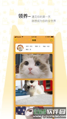 我要猫app截图2