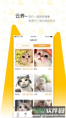 我要猫app截图3