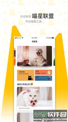 我要猫app截图4