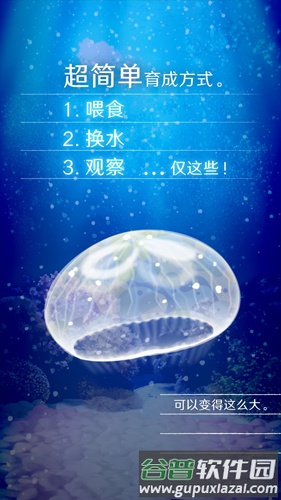 养育水母的治愈游戏截图2
