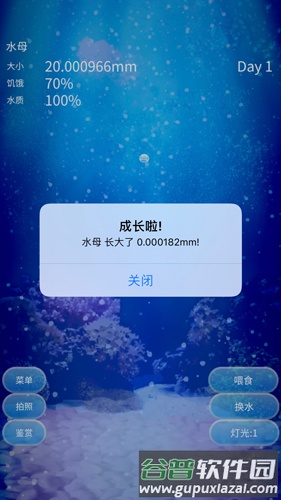 养育水母的治愈游戏截图5