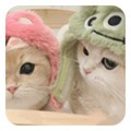 嘤嘤怪appv2.6
