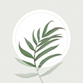 Blossom植物识别appv1.56.4