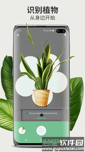 Blossom植物识别app截图3