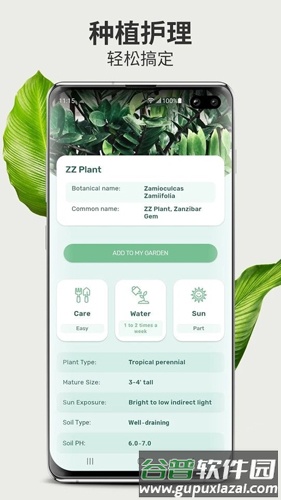 Blossom植物识别app截图4