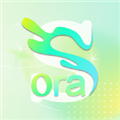 Sora视界appv1.12