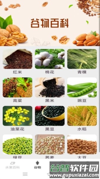掌上果果多app截图1