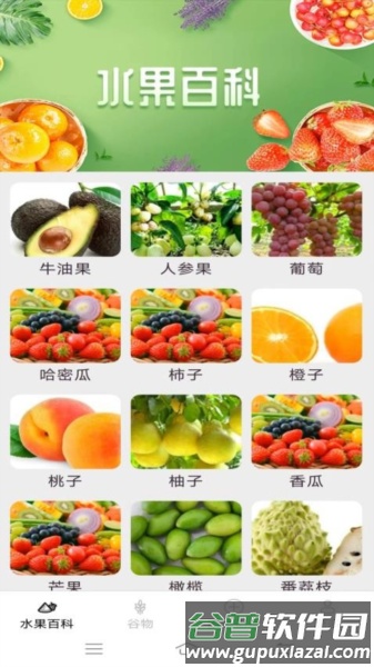 掌上果果多app截图2