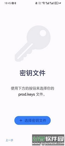 nyushu模拟器最新版本截图3