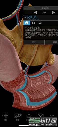 生理和病理学手机版截图4