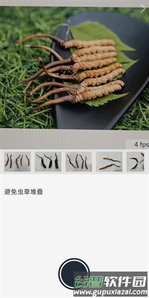 乐见虫草免费版截图3