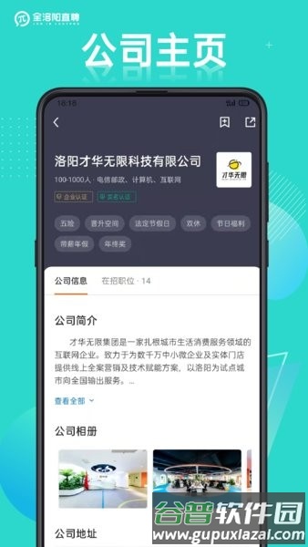 全洛阳直聘app截图3