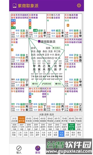 紫微取象派软件截图1