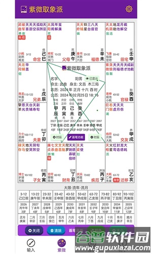 紫微取象派软件截图4