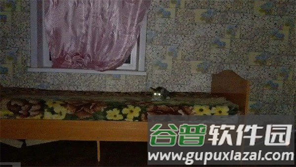 刺猬的五夜后宫手机版截图3