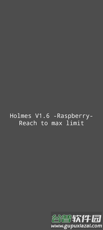 Holmes环境检测软件2025最新版截图2