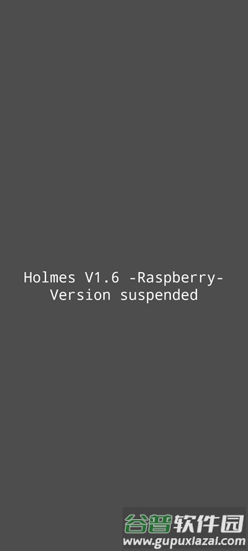 Holmes环境检测软件2025最新版截图4