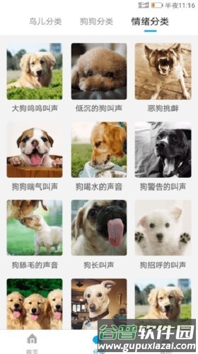 公鸡翻译器手机版截图1