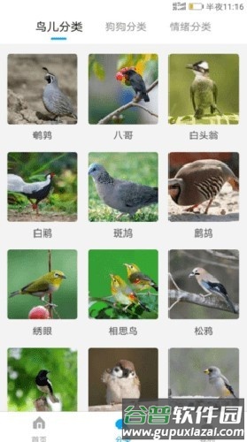 公鸡翻译器手机版截图2