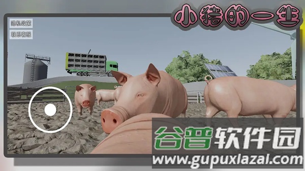 小猪的一生游戏截图4