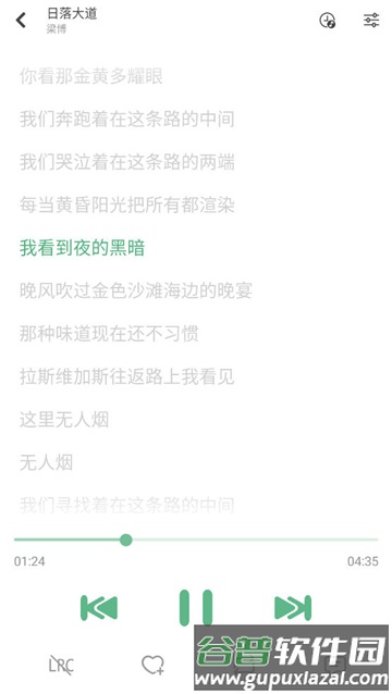 洛雪音乐魔改版(IKUN Music)截图4