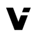 viitor实时翻译v2.6.3