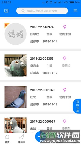 天下鸽谱app截图2