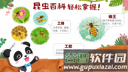 奇妙昆虫世界app截图5