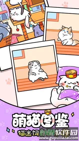 猫咪公寓截图5