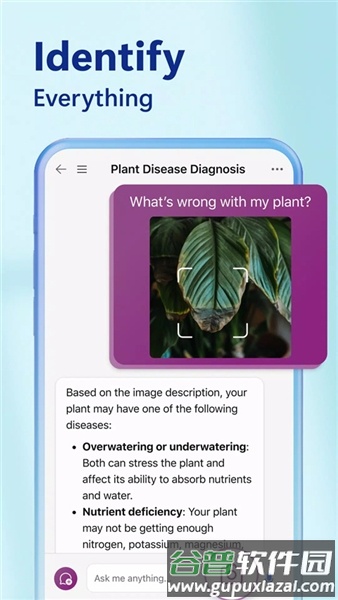 bing搜索国际版app最新版本截图4
