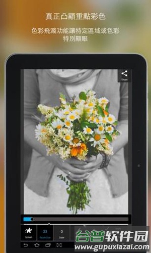 Pixlrapp截图5
