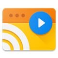 Web Video Caster appv5.11.8
