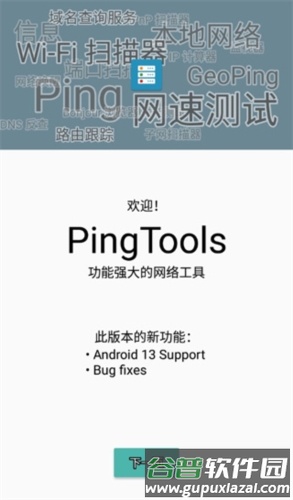 PingToolsPro官方版截图1