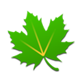 Greenify appv5.1.1