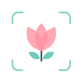 拍照识别植物appv1.1.3