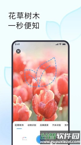拍照识别植物app截图4