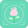 拍照识花appv2.1.15