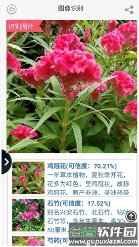 拍照识花app截图3