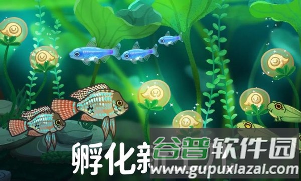池趣中文版截图3